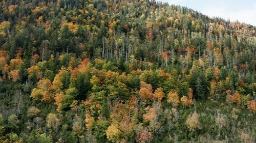 2024.10.14 Carole Astic et vercors sud.00_35_51_00.Still002.jpg