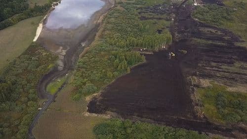 Travaux drains, arbres et palissade.05_10_27_14.Still010.jpg