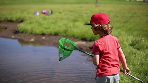 capture écran Axel Falguier2023-12-05-17h01m05s641.jpg