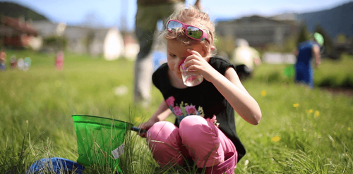 vlcsnap-2022-08-23-13h19m13s634 plus petit.png